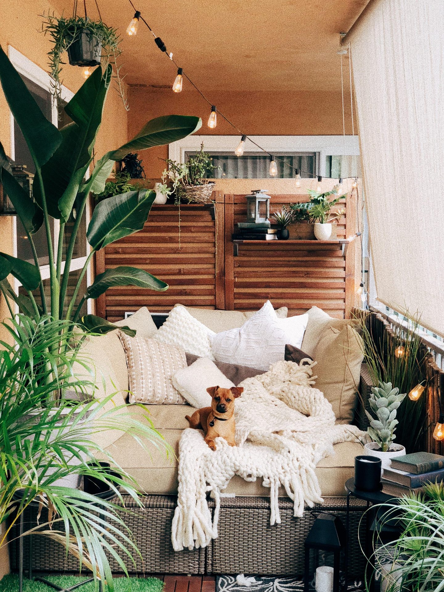 Priya S.'s apartment in Santa Monica